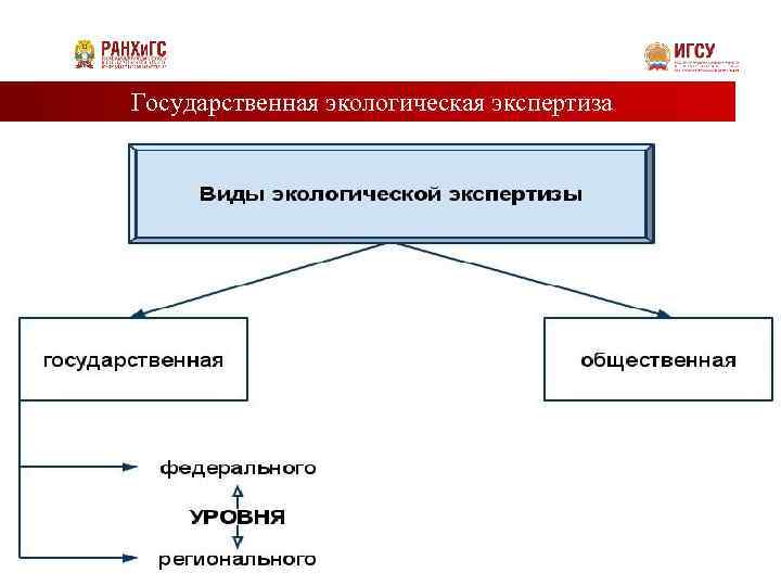 Государственная экологическая экспертиза 46 