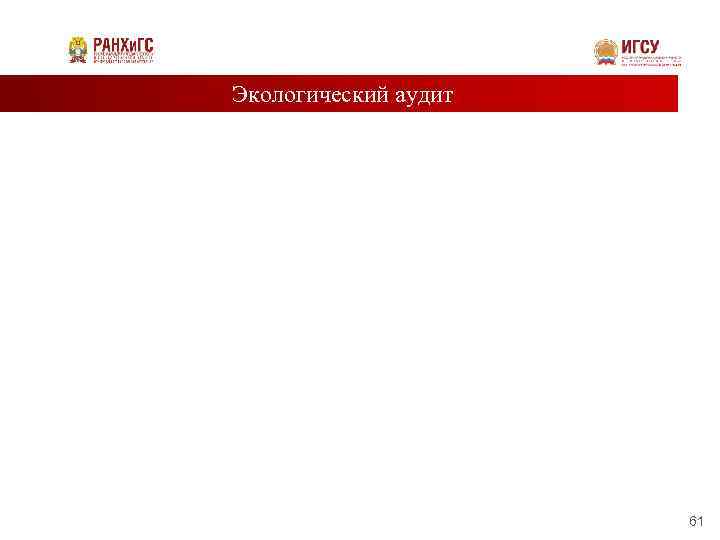 Экологический аудит 61 