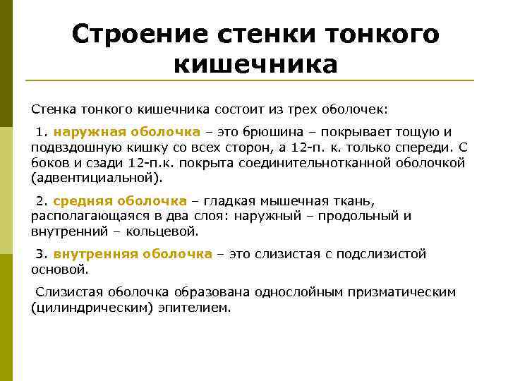 Строение стенки тонкого кишечника Стенка тонкого кишечника состоит из трех оболочек: 1. наружная оболочка