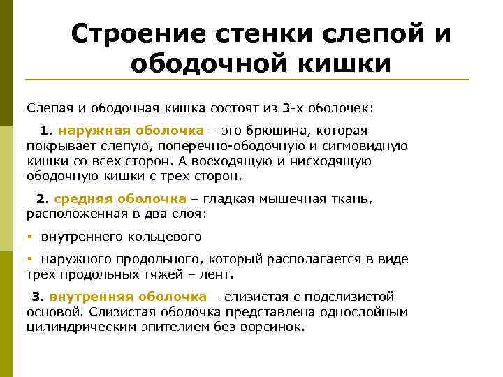 Особенности строения стенки. Строение Степки слепой Кишк. Строение стенки слепой кишки. Слепая кишка строение стенки. Строение стенки ободочной кишки.