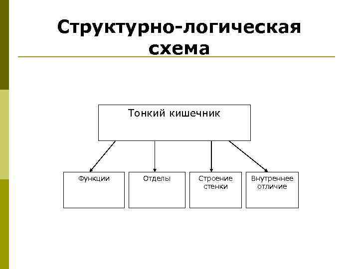 Структурно логическая схема по физике