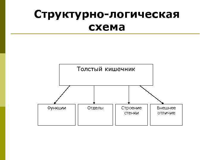 Структурно логическая схема оптика