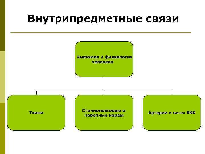 Внутрипредметные связи Анатомия и физиология человека Ткани Спинномозговые и черепные нервы Артерии и вены