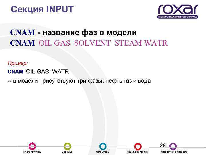 Секция INPUT CNAM - название фаз в модели CNAM OIL GAS SOLVENT STEAM WATR