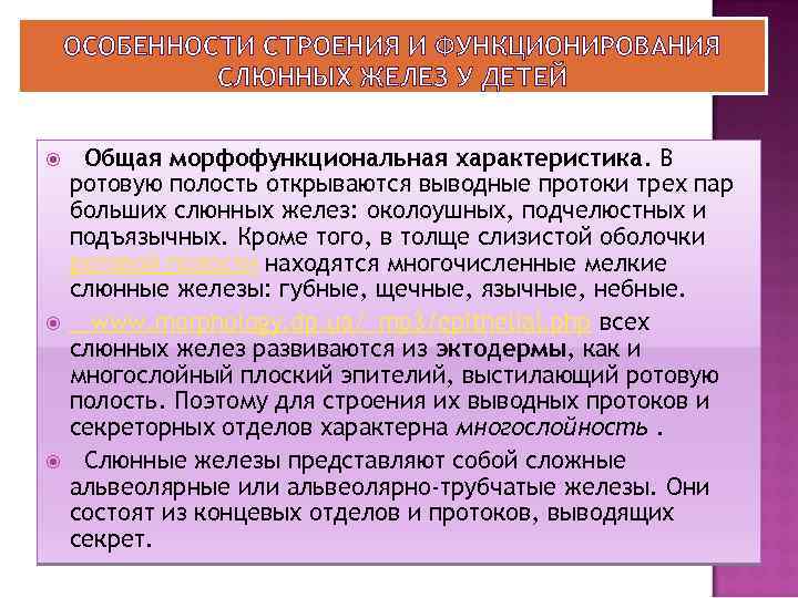 Большая особенность. Морфофункциональные особенности слюнных желез. Морфофункциональная характеристика полости рта. Возрастные особенности слюнных желез. Морфофункциональная характеристика больших слюнных желез.