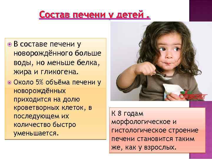 Состав печени у детей. В составе печени у новорождённого больше воды, но меньше белка,