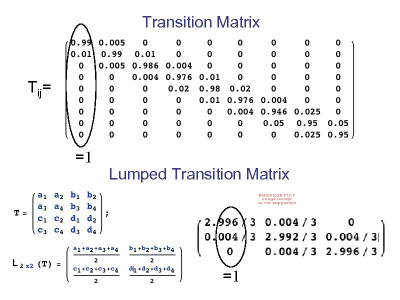 Transition Matrix Tij= =1 L Lumped Transition Matrix =1 