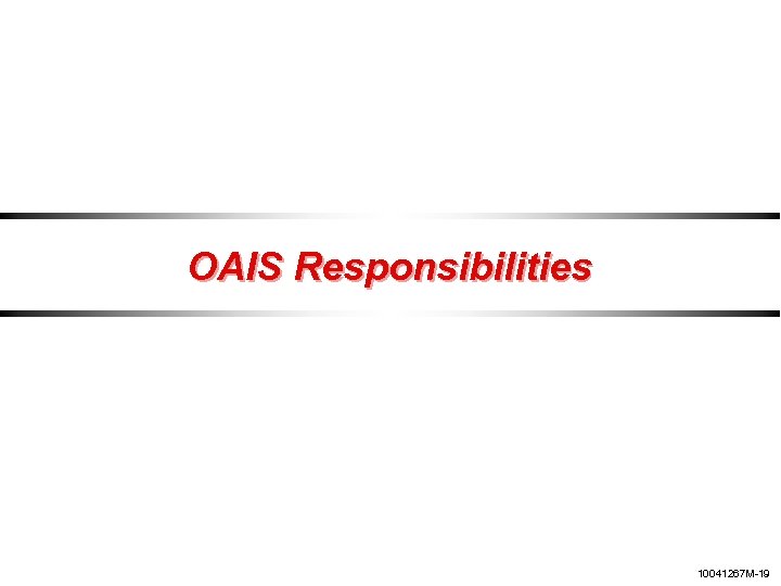 OAIS Responsibilities 10041267 M-19 