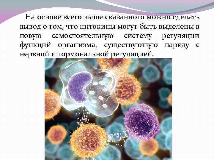 На основе всего выше сказанного можно сделать вывод о том, что цитокины могут быть