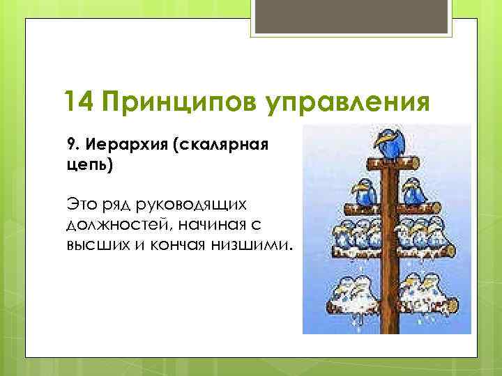 14 Принципов управления 9. Иерархия (скалярная цепь) Это ряд руководящих должностей, начиная с высших
