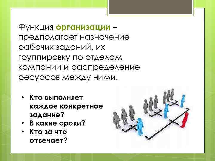Функция организации – предполагает назначение рабочих заданий, их группировку по отделам компании и распределение