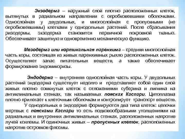Экзодерма – наружный слой плотно расположенных клеток, вытянутых в радиальном направлении с опробковевшими оболочками.