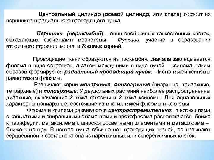 Центральный цилиндр (осевой цилиндр, или стела) состоит из перицикла и радиального проводящего пучка. Перицикл