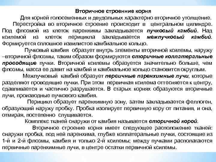 Вторичное строенние корня Для корней голосеменных и двудольных характерно вторичное утолщение. Перестройка во вторичное