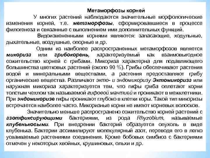 Метаморфозы корней У многих растений наблюдаются значительные морфологические изменения корней, т. е. метаморфозы, сформировавшиеся