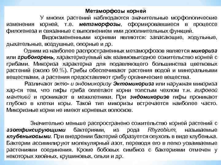 Метаморфозы корней У многих растений наблюдаются значительные морфологические изменения корней, т. е. метаморфозы, сформировавшиеся