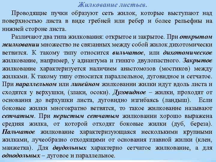 Жилкование листьев. Проводящие пучки образуют сеть жилок, которые выступают над поверхностью листа в виде