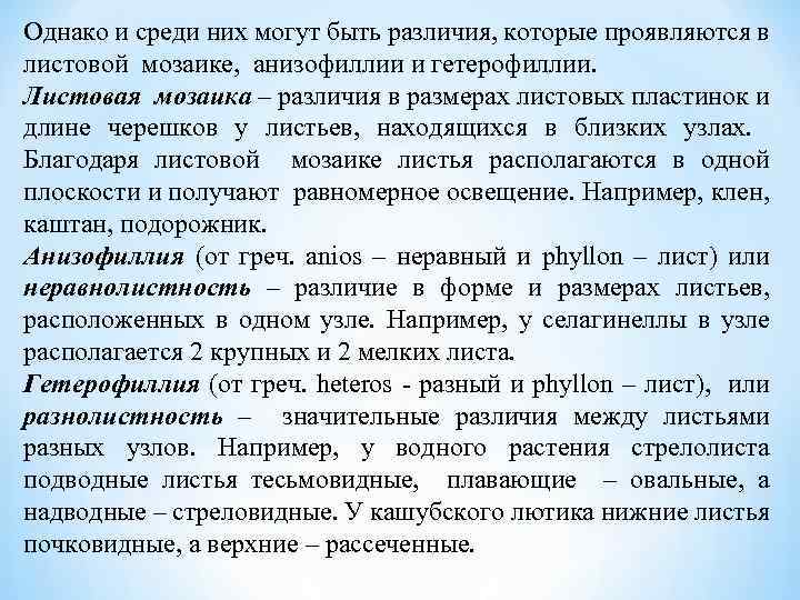 Однако и среди них могут быть различия, которые проявляются в листовой мозаике, анизофиллии и