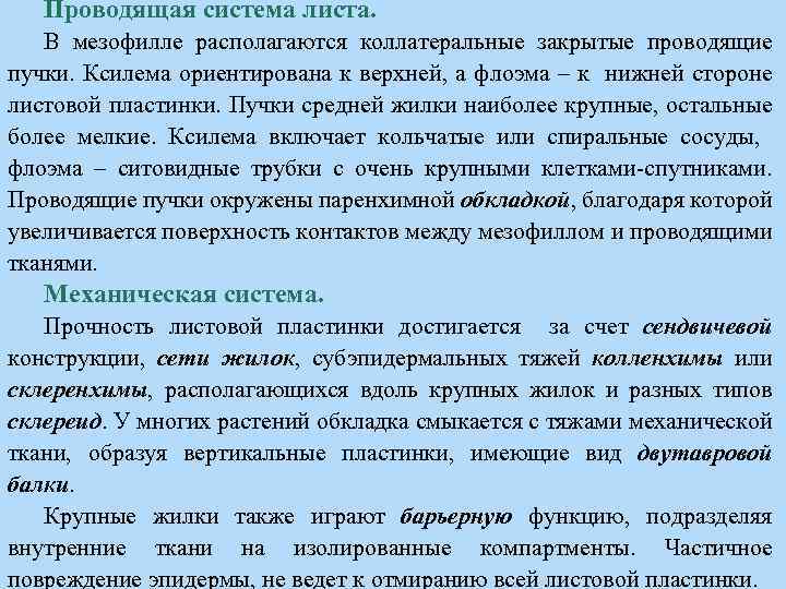 Проводящая система листа. В мезофилле располагаются коллатеральные закрытые проводящие пучки. Ксилема ориентирована к верхней,