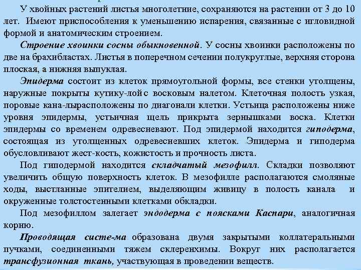 У хвойных растений листья многолетние, сохраняются на растении от 3 до 10 лет. Имеют