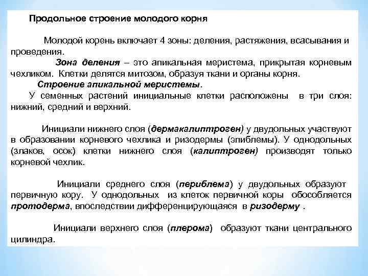 Продольное строение молодого корня Молодой корень включает 4 зоны: деления, растяжения, всасывания и проведения.