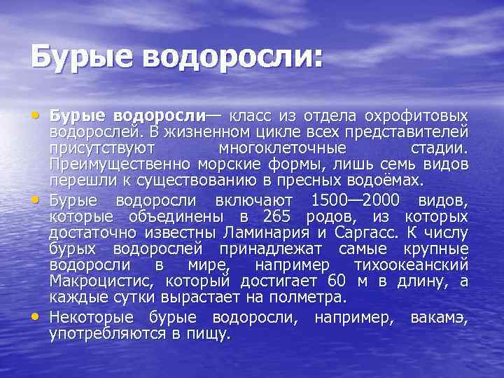 Особенности бурых водорослей