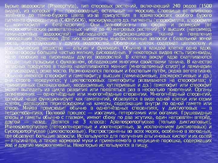 Бурые водоросли (Phaeophyta), тип споровых растений, включающий 240 родов (1500 видов), из которых 3