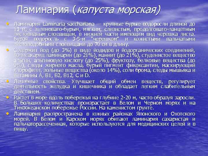 Ламинария (капуста морская) • Ламинария Laminaria sacchariana — крупные бурые водоросли длиной до •