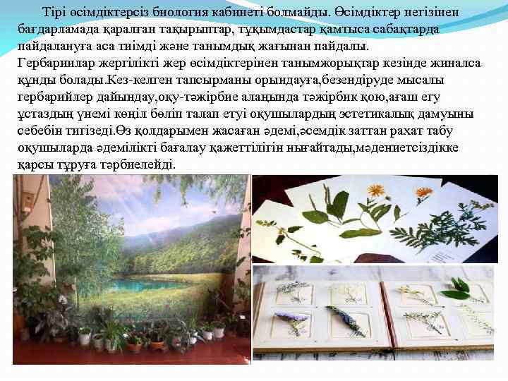  Тірі өсімдіктерсіз биология кабинеті болмайды. Өсімдіктер негізінен бағдарламада қаралған тақырыптар, тұқымдастар қамтыса сабақтарда