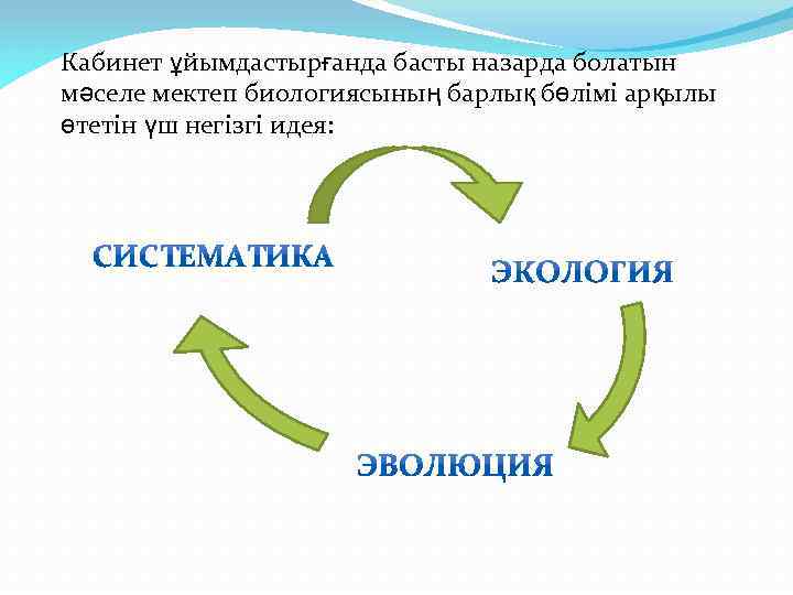 Кабинет ұйымдастырғанда басты назарда болатын мәселе мектеп биологиясының барлық бөлімі арқылы өтетін үш негізгі