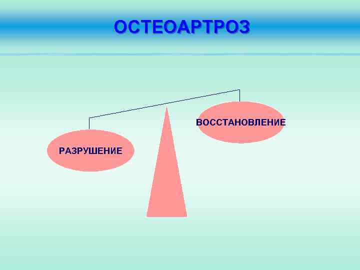 ОСТЕОАРТРОЗ ВОССТАНОВЛЕНИЕ РАЗРУШЕНИЕ 