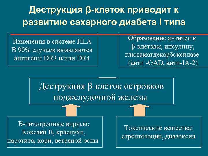 Деструкция β-клеток приводит к развитию сахарного диабета I типа Изменения в системе HLA В