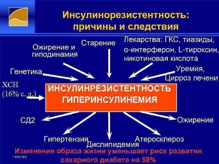 ХСН (16% с. д. ) Изменение образа жизни уменьшает риск развития сахарного диабета на