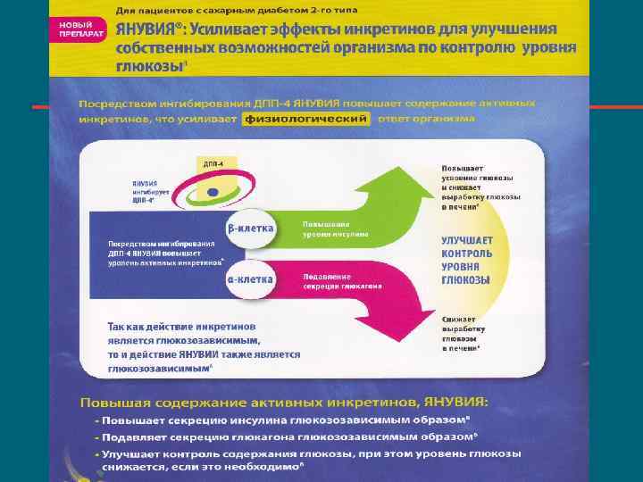 Как диагностировать диабет. Лечение сахарного диабета 1 типа. Заключение по проекту про сахарный диабет. Механизм действия Амилина.