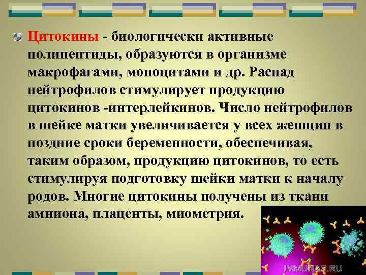 Цитокины - биологически активные полипептиды, образуются в организме макрофагами, моноцитами и др. Распад нейтрофилов