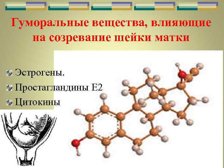 Гуморальные вещества, влияющие на созревание шейки матки Эстрогены. Простагландины Е 2 Цитокины 
