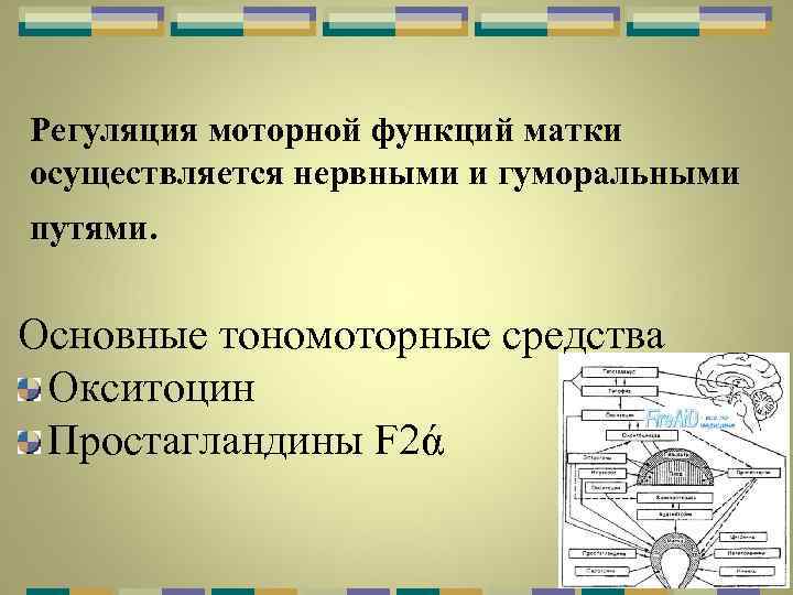 Регуляция моторной функций матки осуществляется нервными и гуморальными путями. Основные тономоторные средства Окситоцин Простагландины