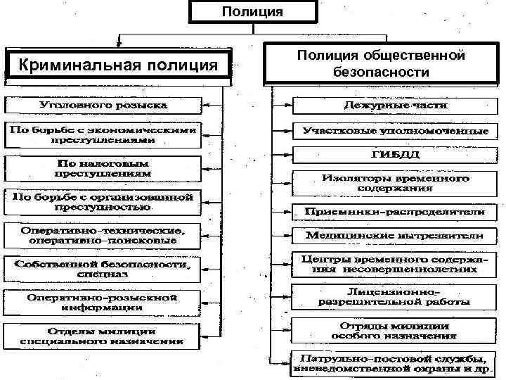 Полиция Криминальная полиция Полиция общественной безопасности 