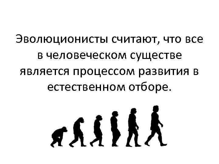 Эволюционисты считают, что все в человеческом существе является процессом развития в естественном отборе. 