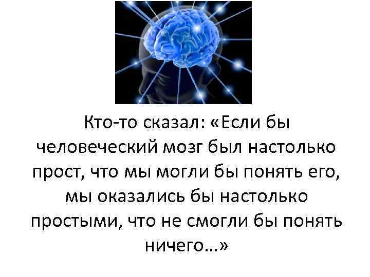 Кто-то сказал: «Если бы человеческий мозг был настолько прост, что мы могли бы понять