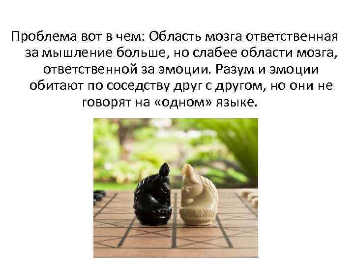 Проблема вот в чем: Область мозга ответственная за мышление больше, но слабее области мозга,