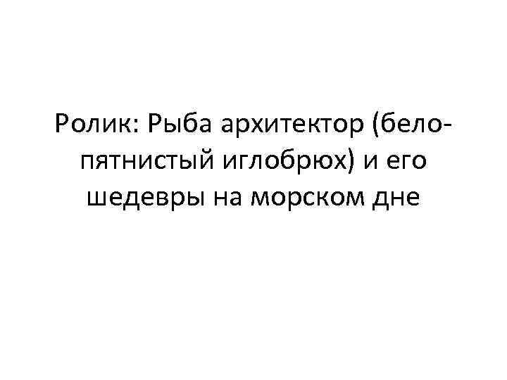 Ролик: Рыба архитектор (белопятнистый иглобрюх) и его шедевры на морском дне 