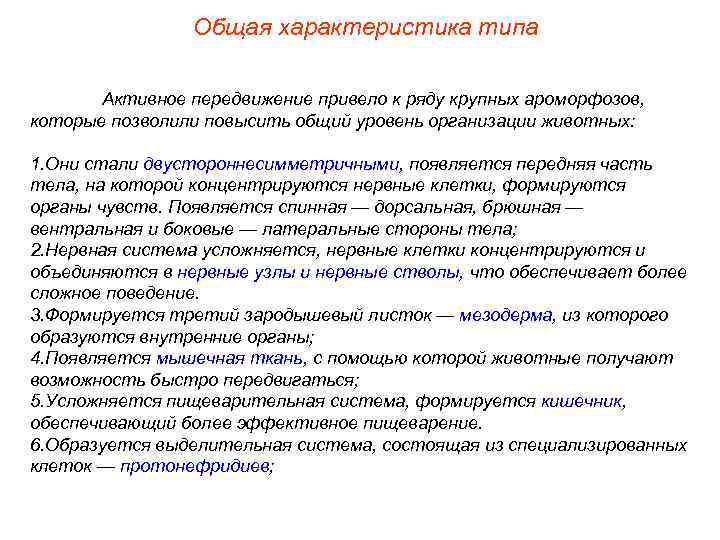 Общая характеристика типа Активное передвижение привело к ряду крупных ароморфозов, которые позволили повысить общий