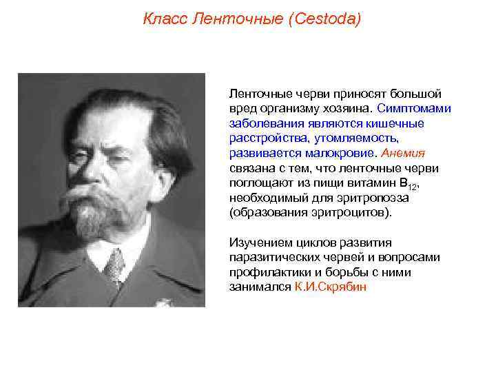 Класс Ленточные (Cestoda) Ленточные черви приносят большой вред организму хозяина. Симптомами заболевания являются кишечные