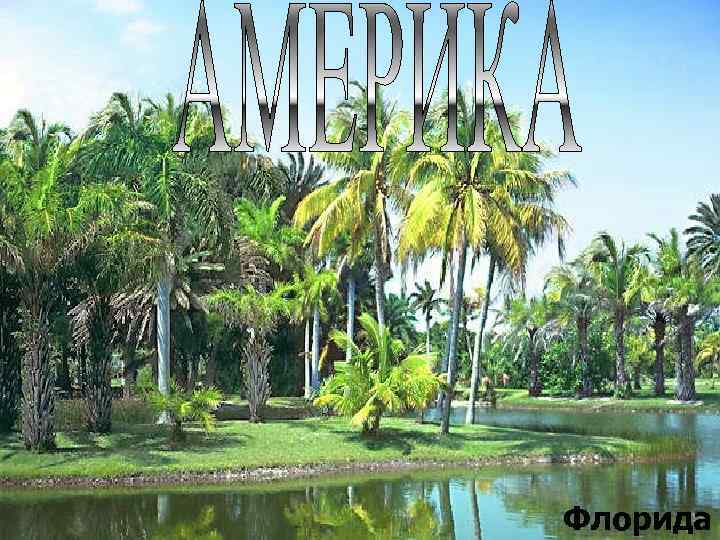 АМЕРИКА Флорида 