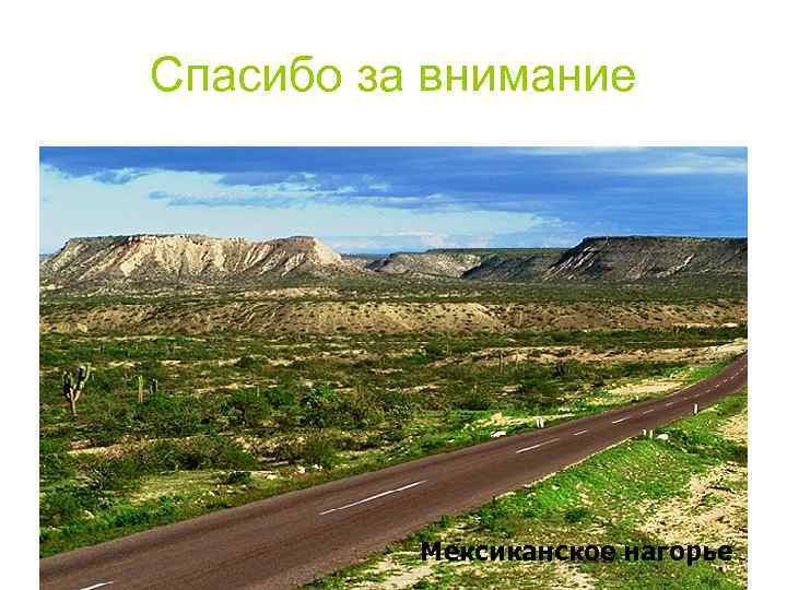 Спасибо за внимание Мексиканское нагорье 