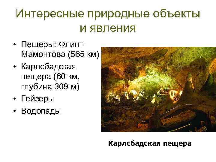 Интересные природные объекты и явления • Пещеры: Флинт. Мамонтова (565 км) • Карлсбадская пещера