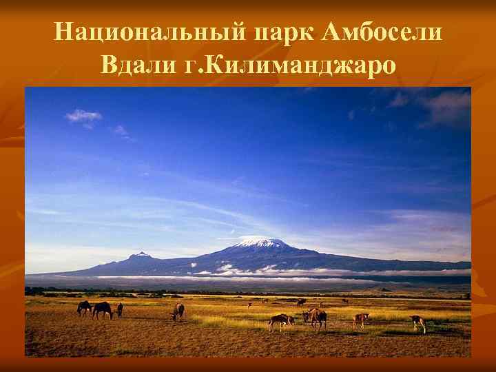 Национальный парк Амбосели Вдали г. Килиманджаро 