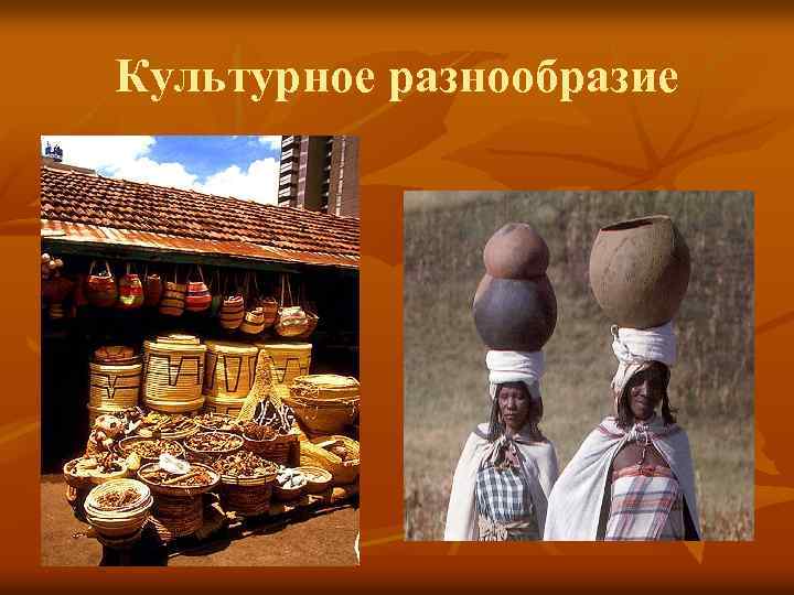 Культурное разнообразие 