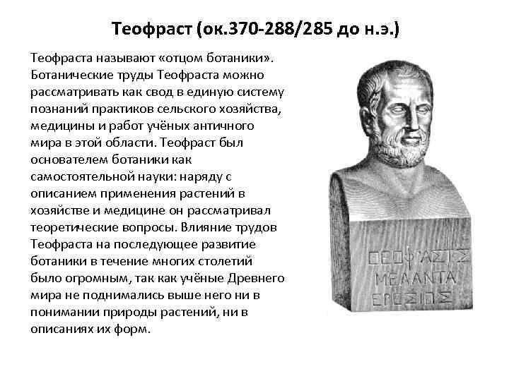 Теофраст (ок. 370 -288/285 до н. э. ) Теофраста называют «отцом ботаники» . Ботанические